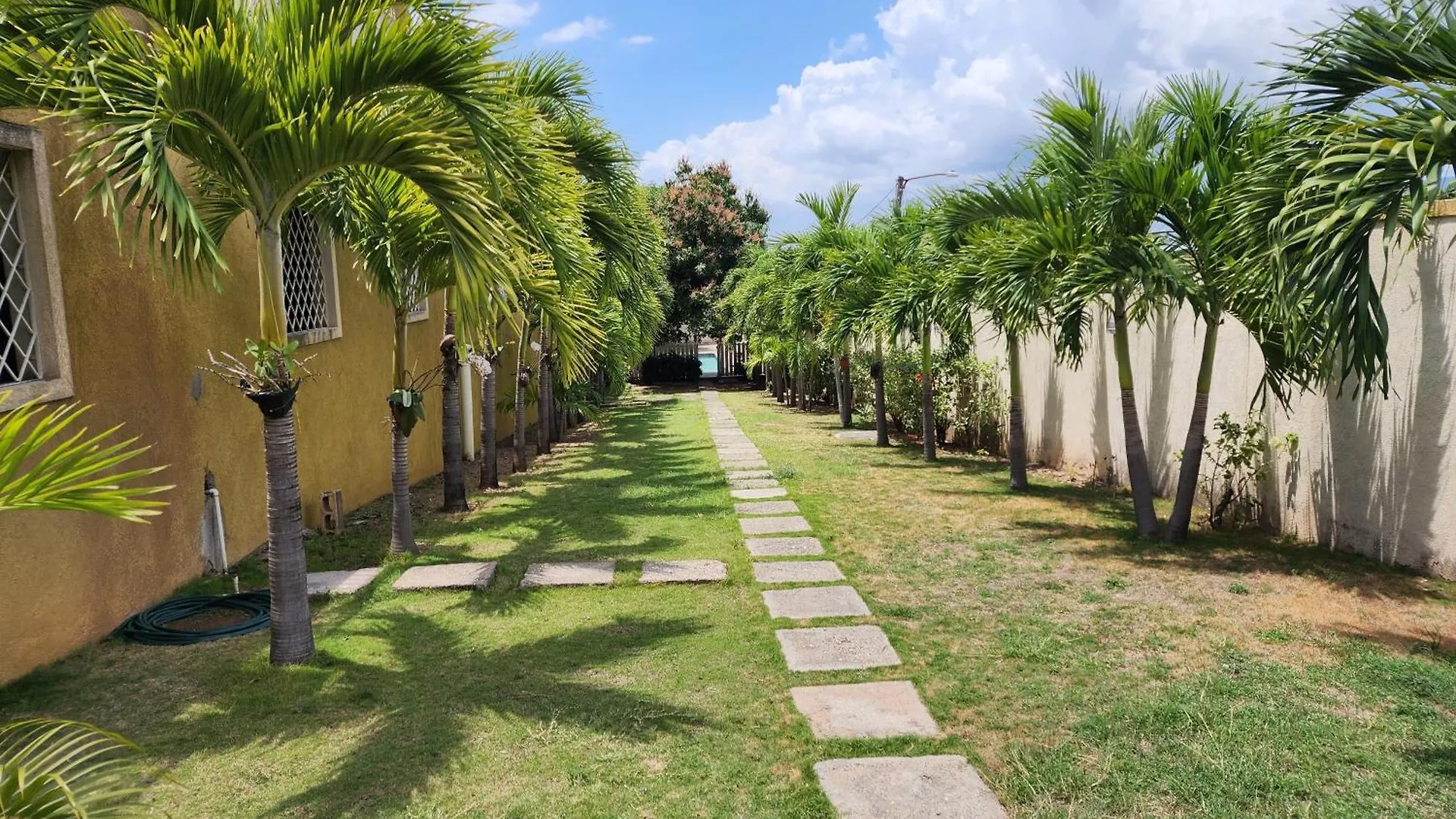 Bed and Breakfast Sweet Oasis Kingston 0*,  Jamaica